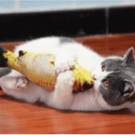 けりぐるみ 抱きつく